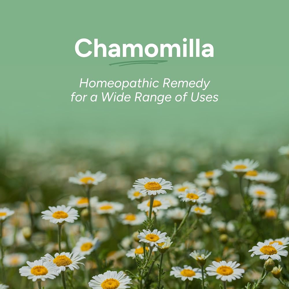 OLLOÏS Chamomilla 200ck Homeopathic Medicine - 3 Pack - image 2