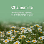 OLLOÏS Chamomilla 200ck Homeopathic Medicine - 3 Pack - image 2