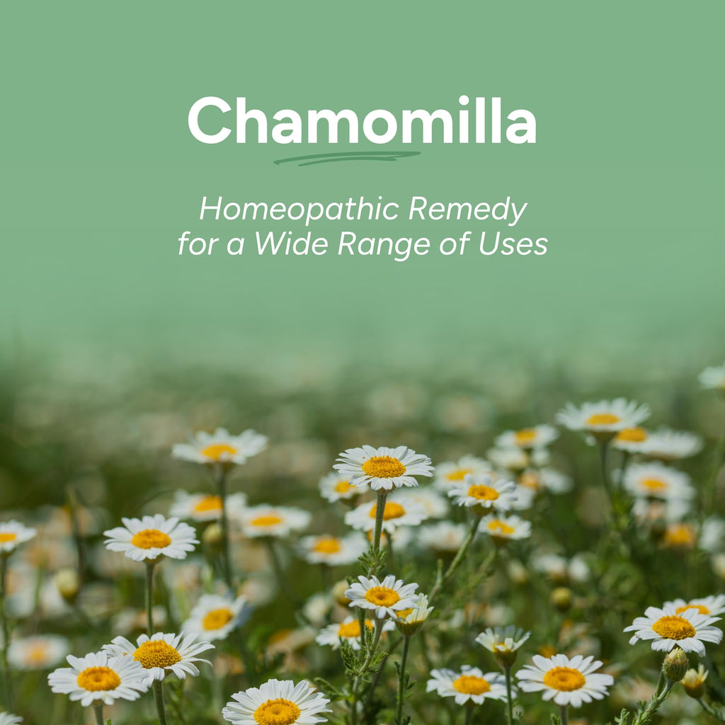 OLLOÏS Chamomilla 30c Organic Homeopathic Medicine - 80 Pellets - image 2