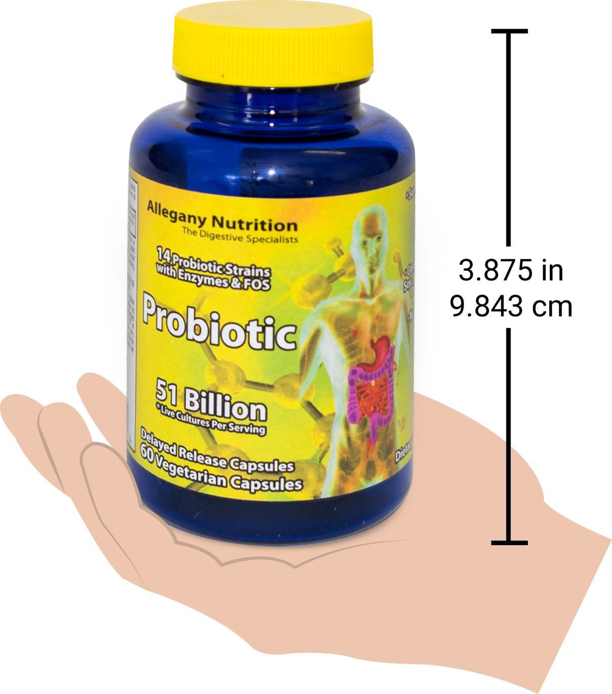 Allegany Nutrition Probiotic 51 Billion - 60 Capsules - image 6