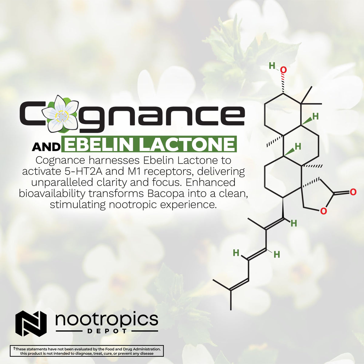 Nootropics Depot Cognance Enhanced Bacopa Capsules