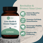 R-U VED LivTone Liver Support Supplement with Amla & Andrographis - 60 Capsules - image 2