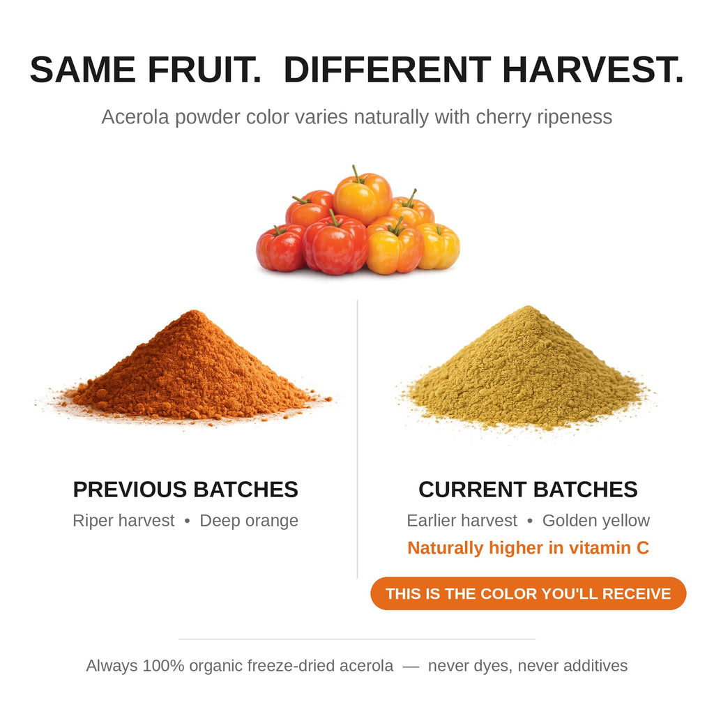 KOYAH Organic Acerola Powder Freeze-Dried Vitamin C - 60 Servings - image 2