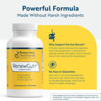 Researched Nutritionals RenewGut GI Complex Gut Lining Support - 120 Capsules - image 4