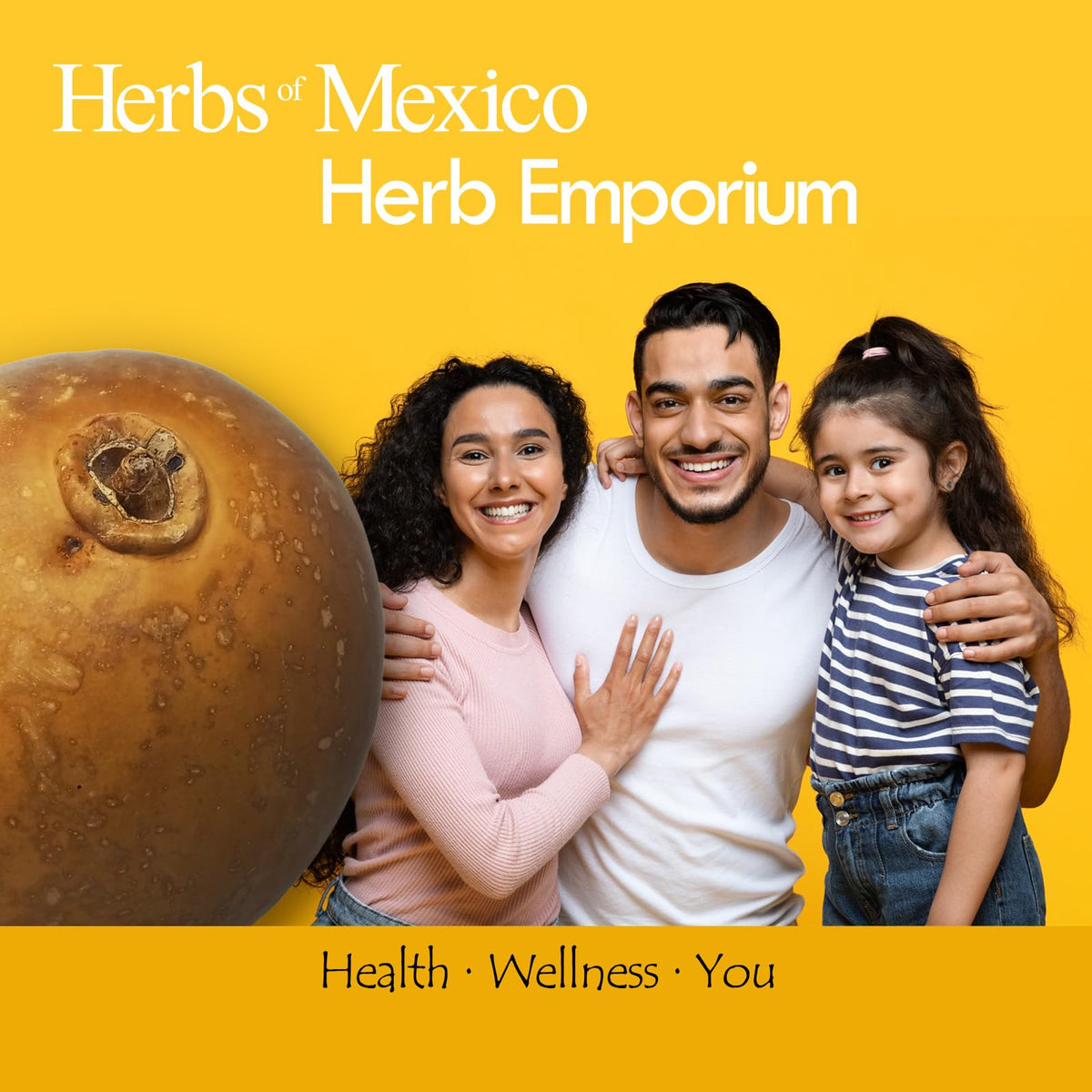Herb Emporium Herbs of Mexico Guaje Cirial Whole - 1 Pack - image 4
