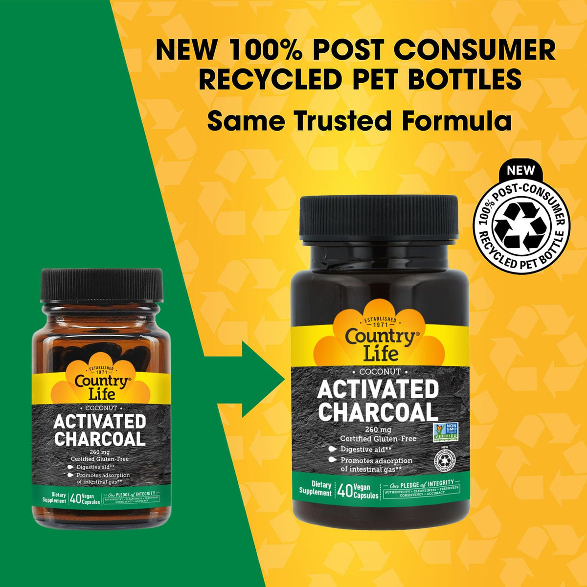 Country Life Coconut Activated Charcoal 260 mg - 40 Vegan Capsules - image 4