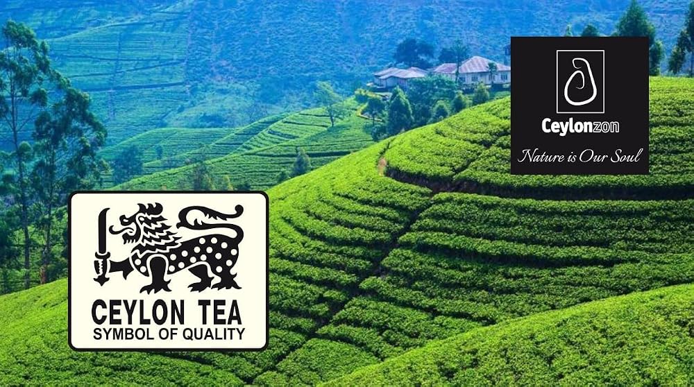 CEYLONZON Ceylon Green Tea Bags