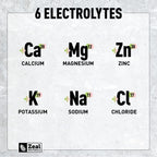 Zeal Naturals Electrolyte Powder - 90 Servings