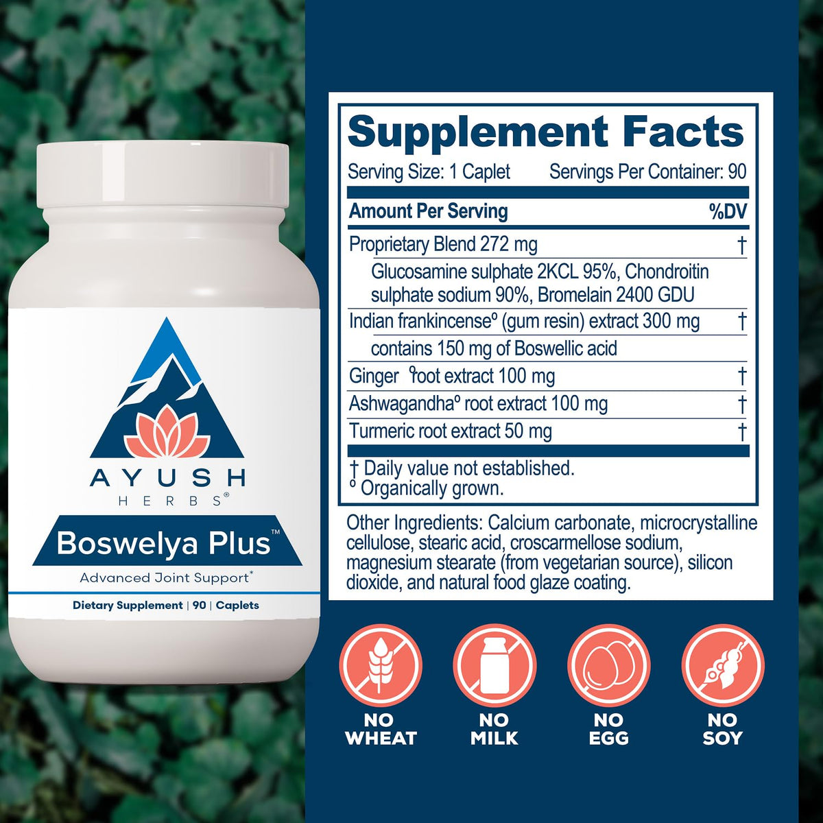 Ayush Herbs Boswelya Plus Joint Care with Curcumin - 90 Caplets - image 3
