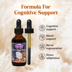 Dragon Herbs Lion's Mane Drops Mushroom Supplement Brain Support - 2 fl oz - image 3