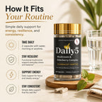 L & L Supplement Daily 5 Multivitamin Mushroom Complex - 60 Capsules - image 2