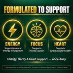 Wellgenix Bio-Available Sublingual B12 B6 Folate Vitamin - Formulated