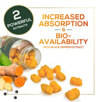 Nature's Nutrition Turmeric Gummies - 95% Curcuminoids - Best