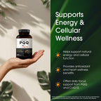 NatureBell PQQ 40mg with CoQ10 10mg - 240 Capsules - image 4