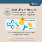 SCD Probiotics Essential Probiotics