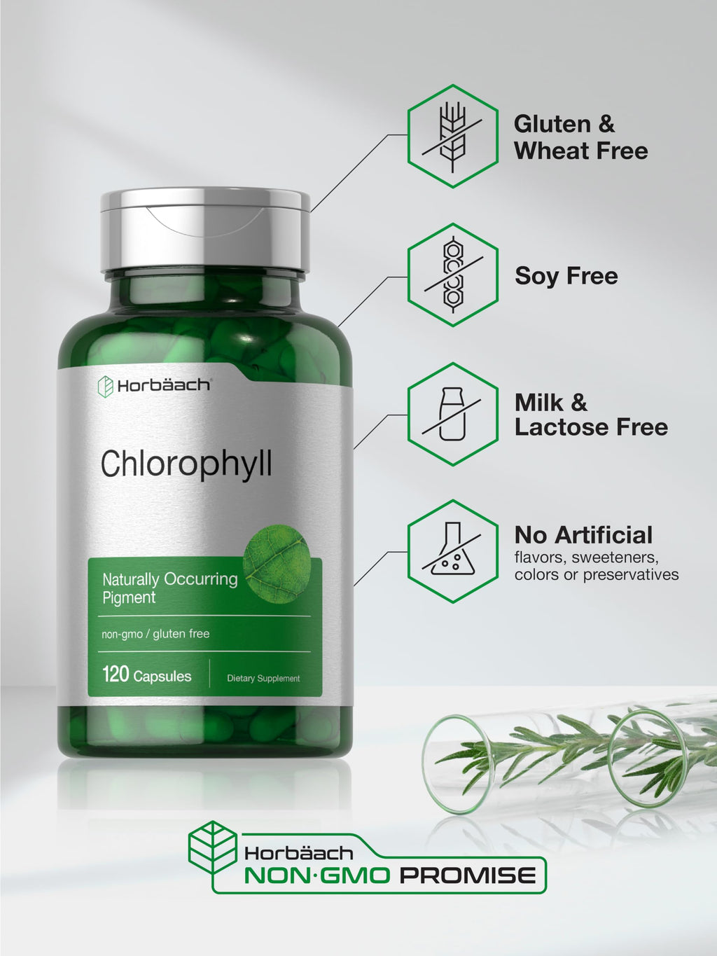 Horbäach Chlorophyll Capsules with Copper - 120 Count - image 5