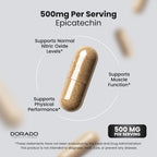 Dorado Nutrition Epicatechin Extract 500mg - 60 Capsules - image 4