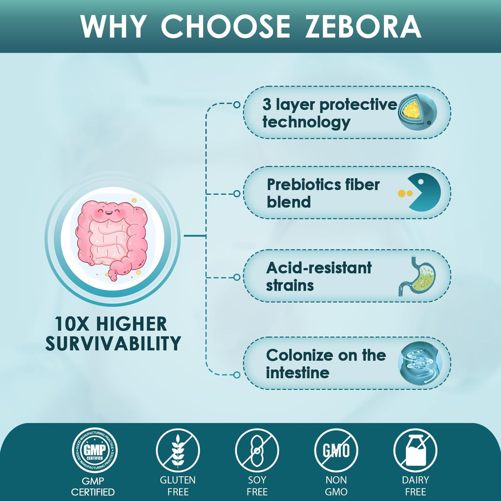 ZEBORA Probiotics for Men Digestive Health 60 Billion CFU - 90 Tablets - image 5