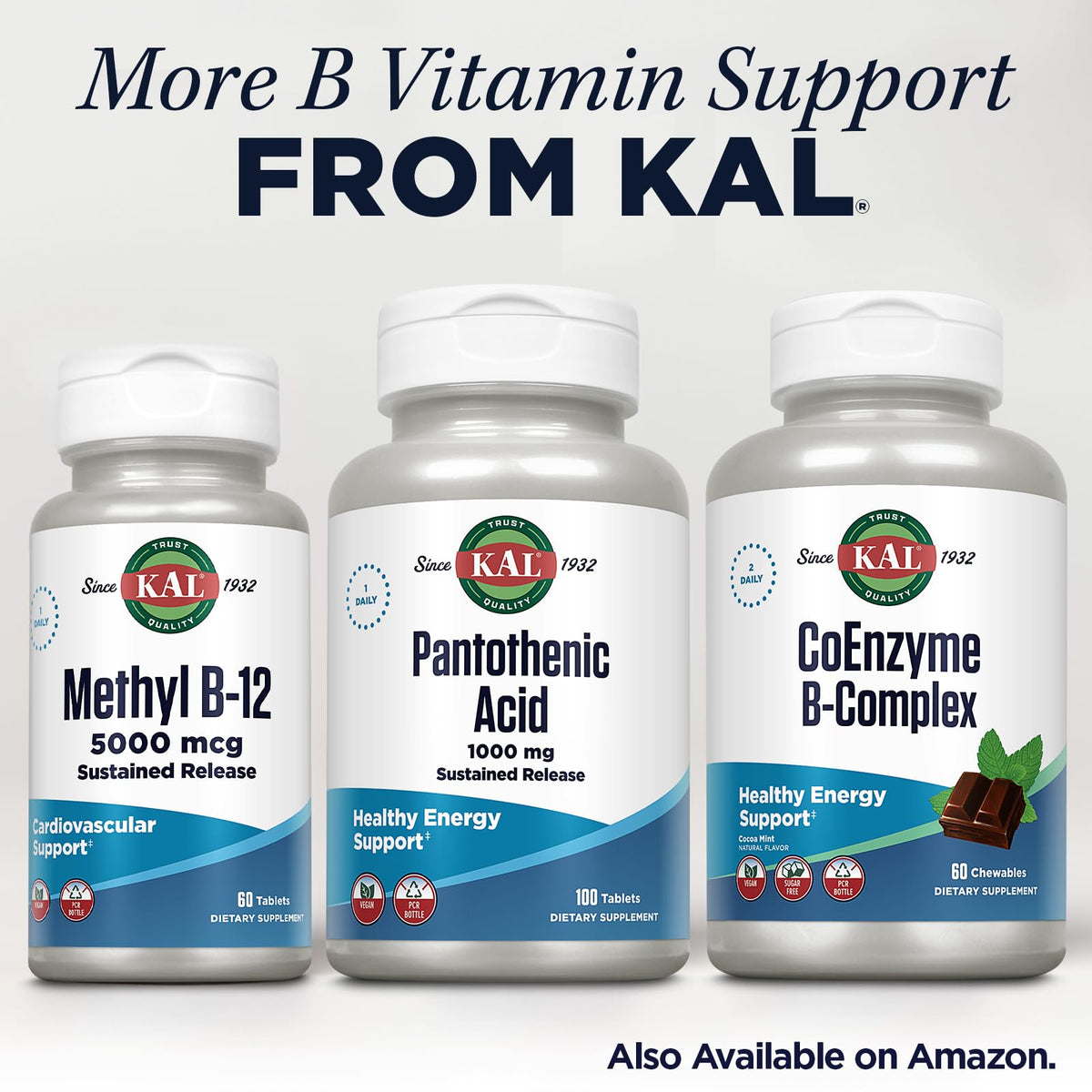 KAL 1000 Mg Pantothenic Acid Tablets