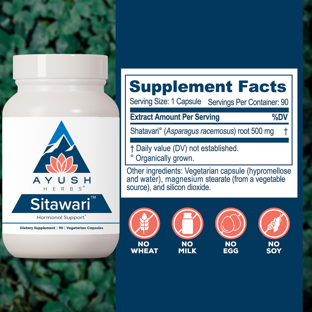 Ayush Herbs Shatavari Capsules for Women - 90 Capsules - image 3