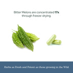 Eclectic Institute Bitter Melon Capsules for Glucose Support - 90 Capsules - image 6