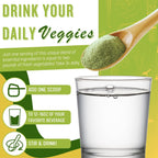 Daily Health Ultimate Greens Powder Immune Support - 3 Pack - image 5