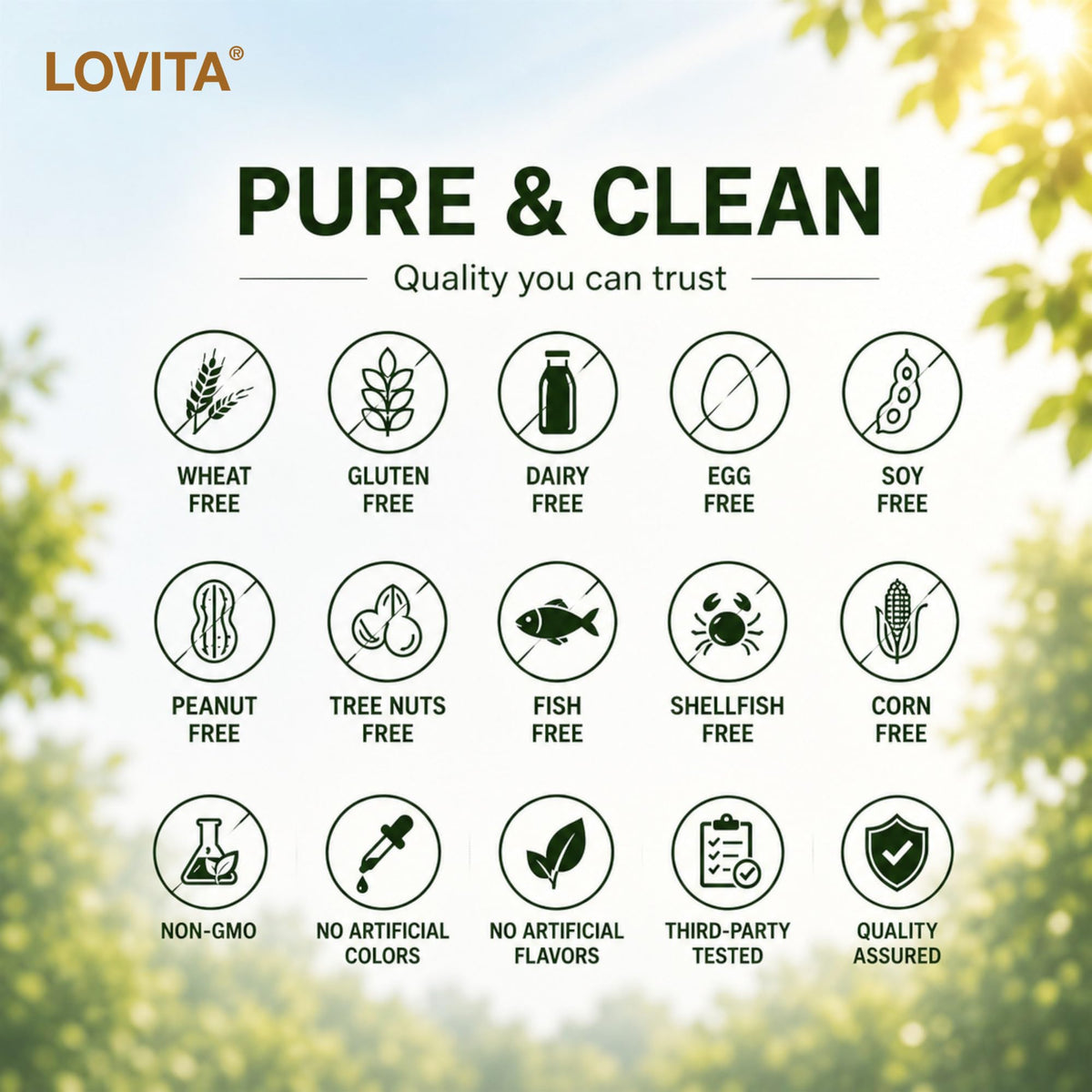 LOVITA Green Coffee Bean Extract 50% Chlorogenic Acid - 180 Vegan Capsules - image 8