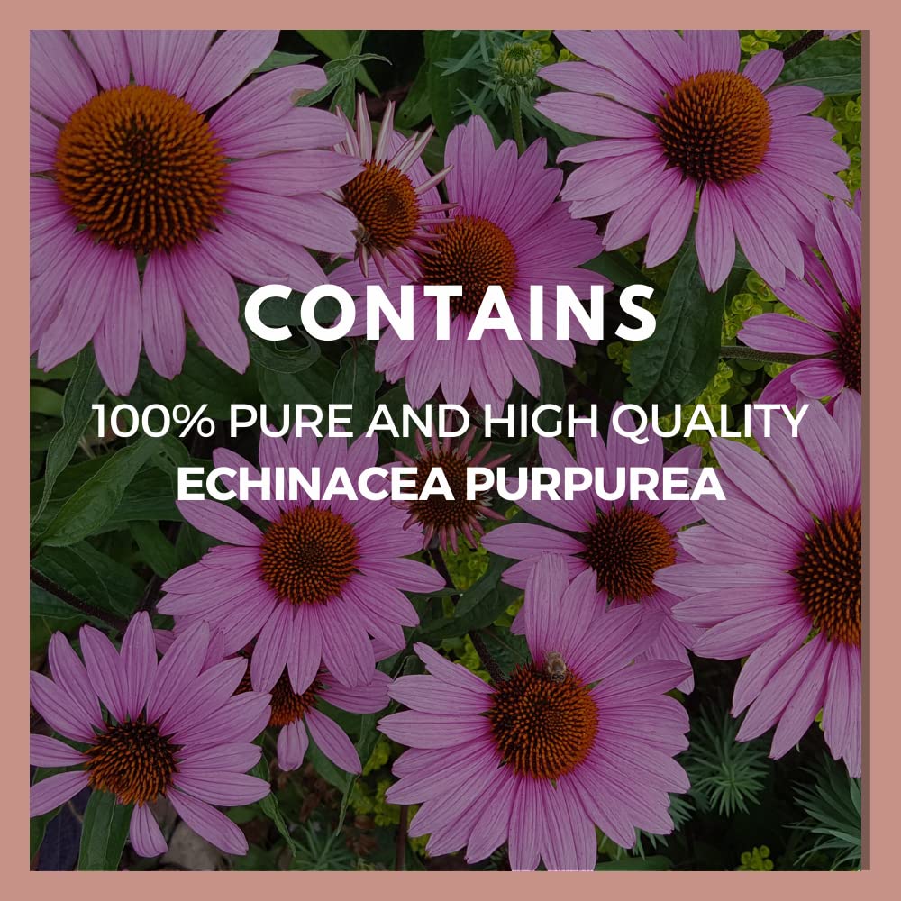 Remedy’s Nutrition Remedy's Nutrition Echinacea 1000 mg - 60 Vegan Capsules - image 4
