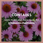 Remedy’s Nutrition Remedy's Nutrition Echinacea 1000 mg - 60 Vegan Capsules - image 4