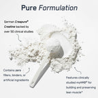 SteelFit Creatine HMB Powder with Creapure - 30 Servings - image 4