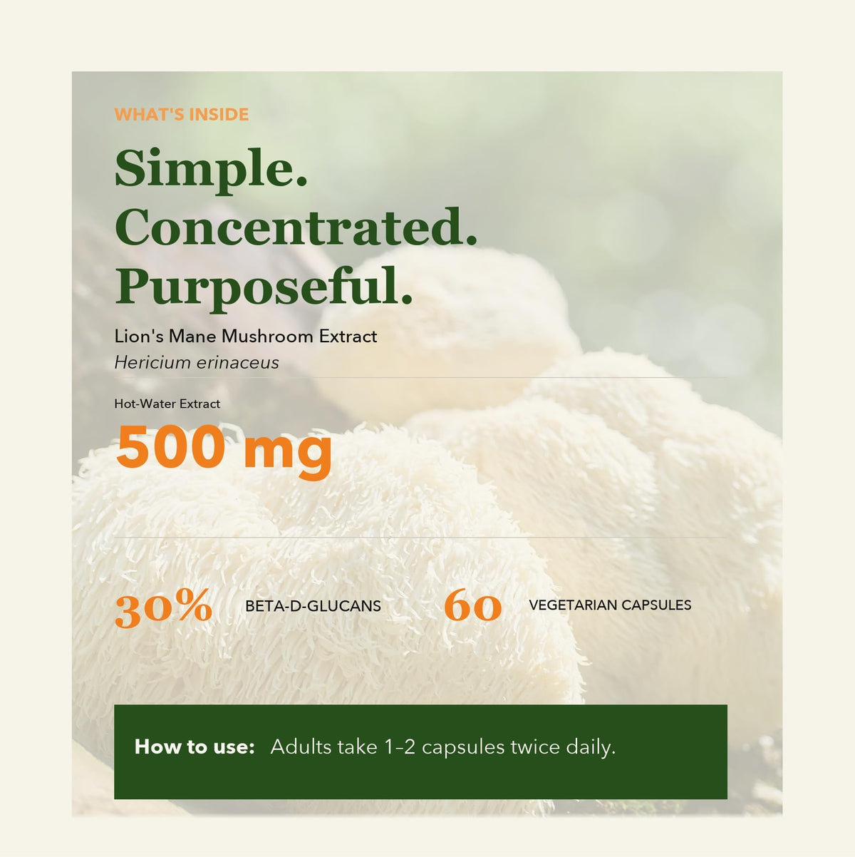 Noomadic Lion's Mane Mushroom 500 mg Nootropic Focus - 60 Capsules - image 4