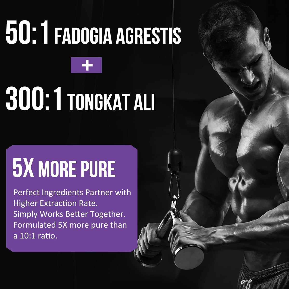 Thalacy 2400mg Fadogia Agrestis Tongkat Ali Supplement - Fadogia