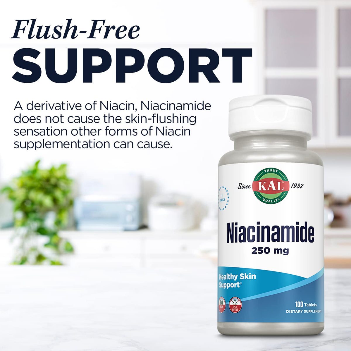 KAL 500 Mg Niacin Flush Free Tablets