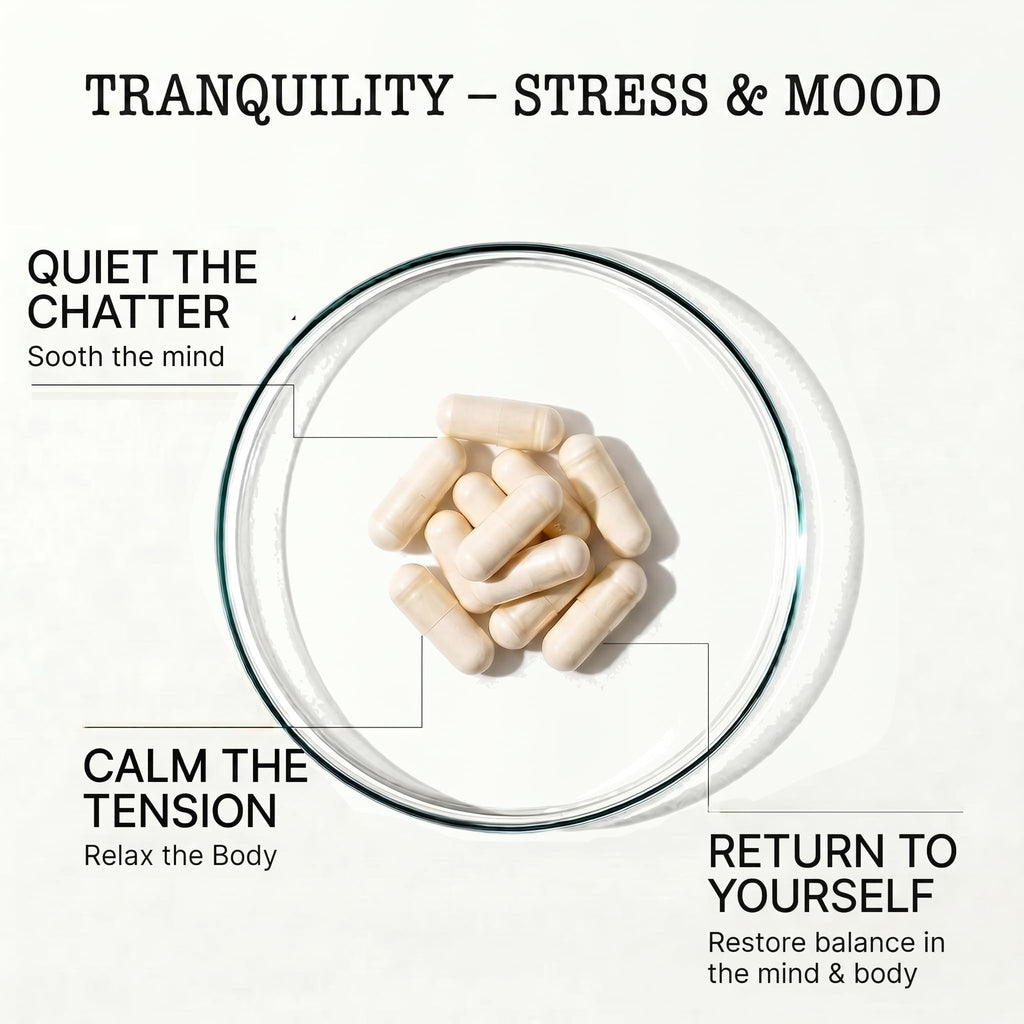 Zenium Stress Relief Supplement with Ashwagandha & Magnesium - 60 Capsules - image 3
