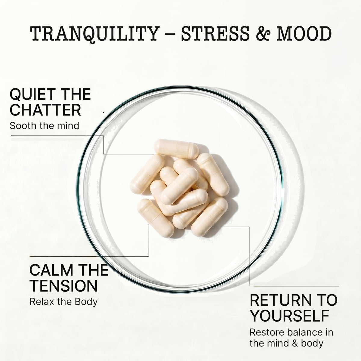 Zenium Stress Relief Supplement with Ashwagandha & Magnesium - 60 Capsules - image 3