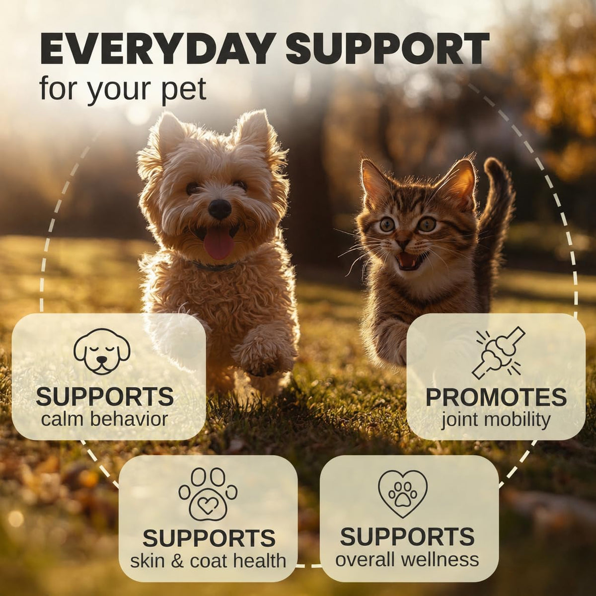 Billion Pets Hemp Oil for Dogs and Cats Calming Drops - 1 Fl Oz - image 4