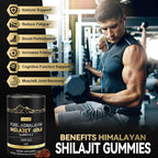 Grevol Pure Himalayan Shilajit Gummies: Gold Grade Shilajit Riched