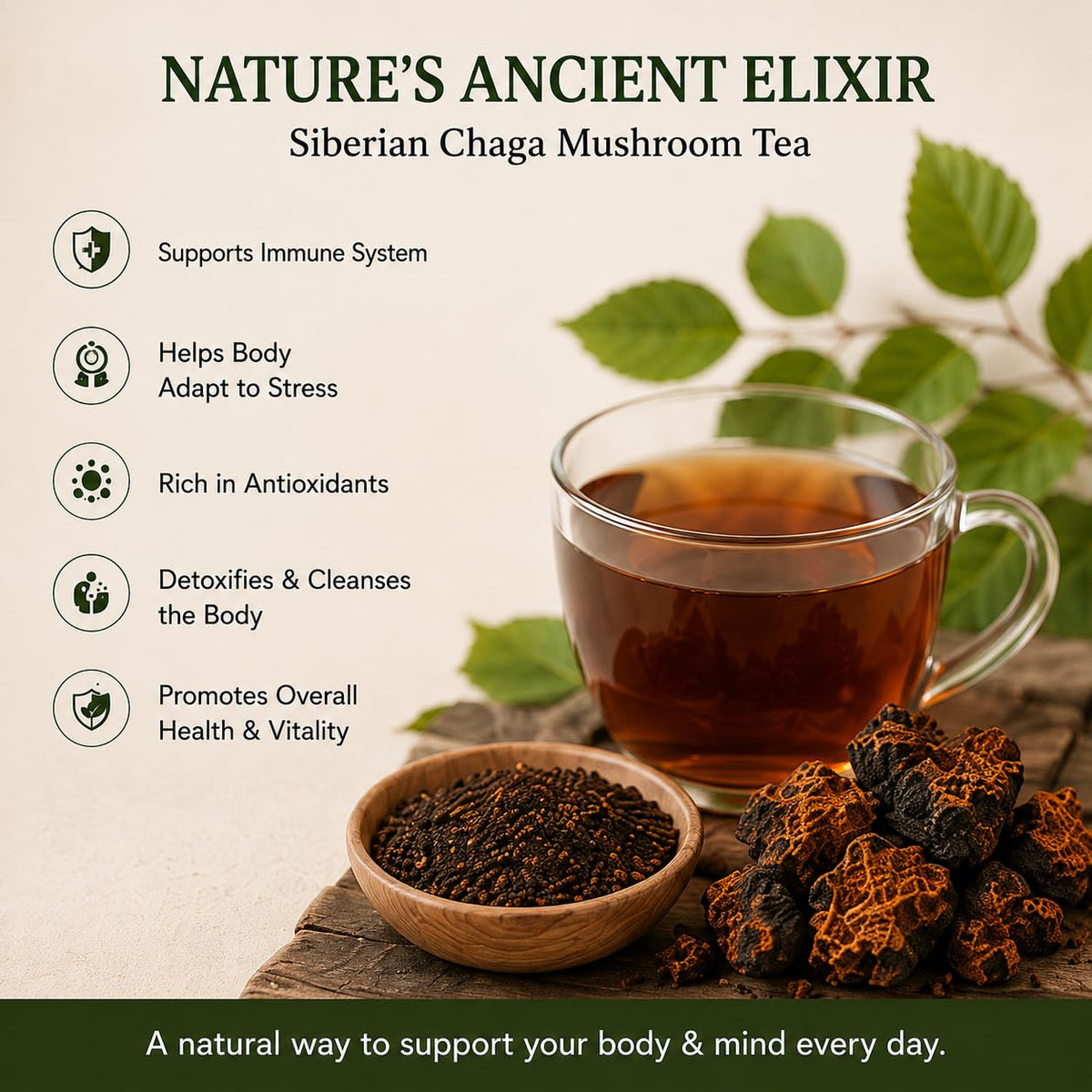 ChagaTeaShop Siberian Chaga Mushroom Loose Tea Caffeine Free Natural