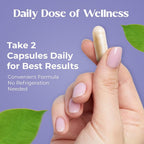Nudora Daily 3 in 1 Probiotics & Prebiotics with Ashwagandha - 60 Capsules - image 3