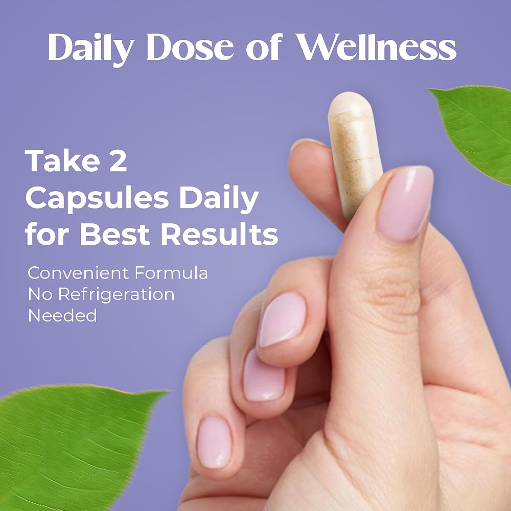Nudora Daily 3 in 1 Probiotics & Prebiotics with Ashwagandha - 60 Capsules - image 3