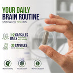 2nd Springs Brain Supplements for Memory and Focus - 30 Capsules - image 5