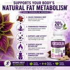 Herbal Nutrition Forskolin Extract 250mg-500mg Max Strength - 180 Capsules - image 3