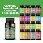 AyBet Organic Irish Sea Moss 16-in-1 Supplement - 120 Capsules - image 4