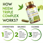 Organic Veda Neem Capsules Triple Complex for Skin & Immune Support - image 5