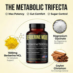 Berberine Mojo Berberine 1500mg with Ceylon Cinnamon - 1 Count - image 2