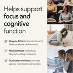Mobisyn Organic Mushroom Supplement with Cognitive Nootropic Mushroom