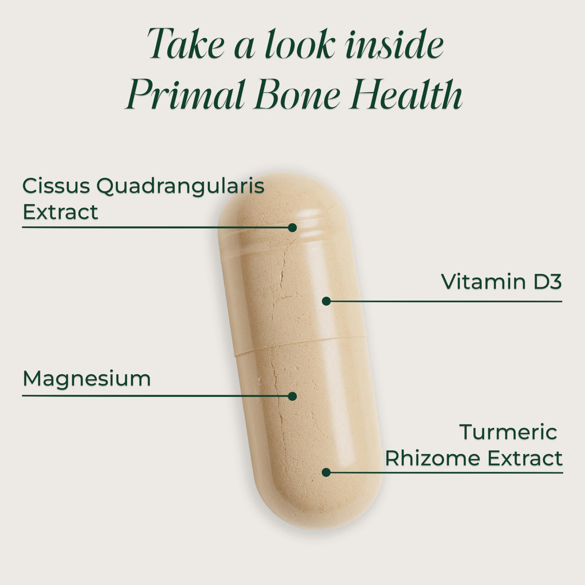 Primal Harvest Bone Health - Daily Supplement