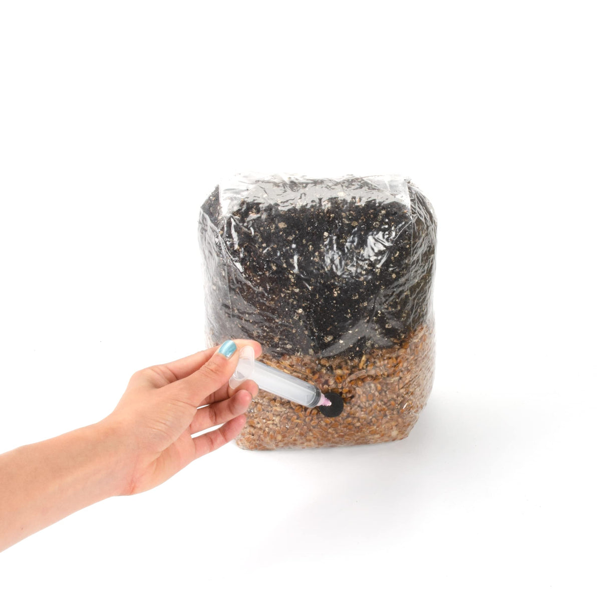 Mycology-supply.com Mushroom liquide Cultures