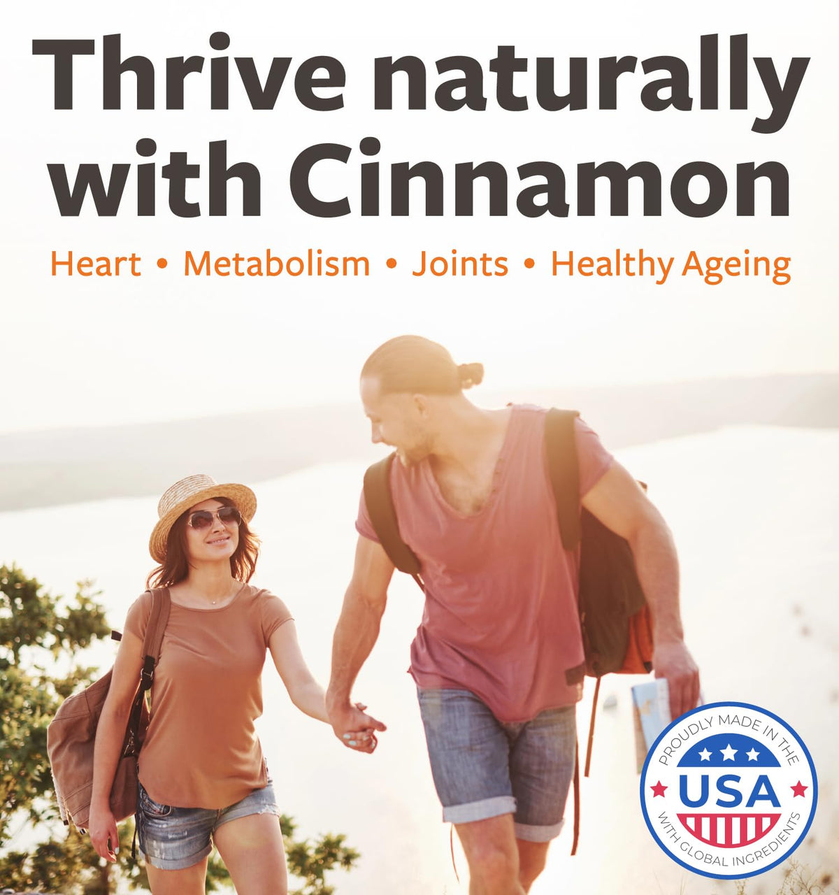 Healths Harmony USDA Organic Ceylon Cinnamon Pills - 120 Tablets - image 3