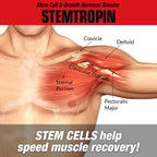 MuscleMeds STEMTROPIN Stem Cell & Growth Factor Booster - 60 Veggie Capsules - image 4